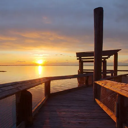 Angela * 리그나노 사비아도로